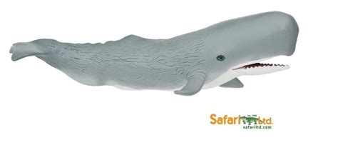 Safari Ltd 275529n Sperm Whale 20 Cm Series Water Animals New Model