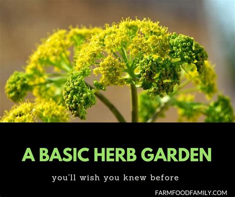 A Basic Herb Garden Herb Gardening For Beginners