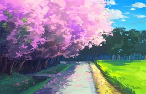 Beautiful Anime Sakura Tree Background Anime Cherry Blossoms