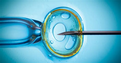 How To Prepare For Successful Ivf Treatment Carolinas Fertility Institute
