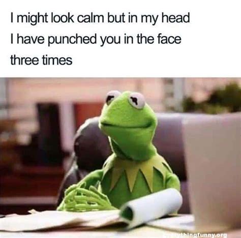 25 Kermit The Frog Memes That Are Insanely Hilarious SayingImages