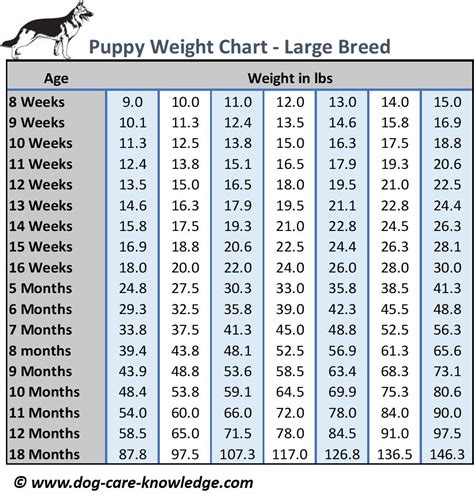 Iams dog feeding chart goldenacresdogs com. Updated Learning: Golden Retriever Puppy Feeding Chart
