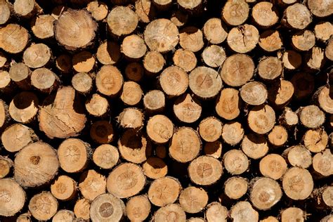 Duty Rates On Canadian Softwood Lumber Wood Industry
