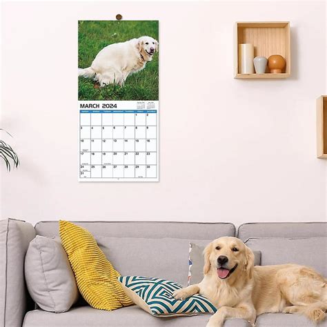 2024 Wall Calendar 12 Monthly Pooping Dogs Calendar 2024 Jan 2024