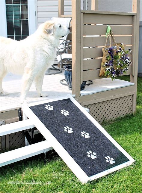 Freeze your pup's toys for hours of summer fun! Rampa para perros de bricolaje - Of Faeries & Fauna Craft ...