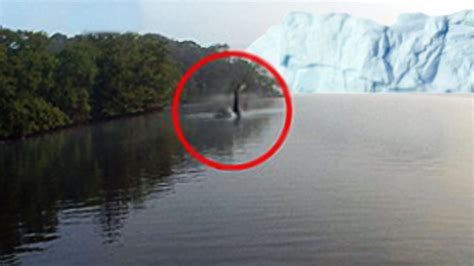 Loch Ness Monster Was Caught On Tape In Alaska Youtube