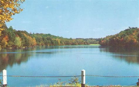 Springfield Forest Park Brook Global Postcard Sales