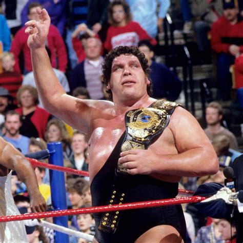 Daily Pro Wrestling History 0205 Andre The Giant Wins Wwf