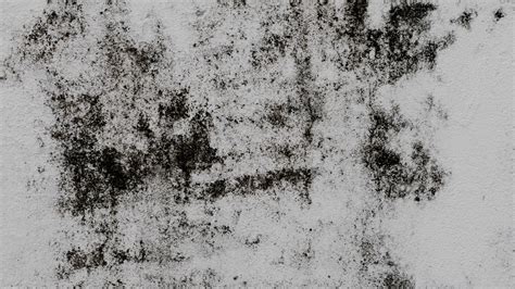 Download Wallpaper 1920x1080 Wall Stains Texture Gray