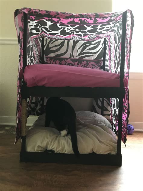 Made A Bunk Bed For My Cats Bunkbed Cats Bed Bunk Beds Furniture