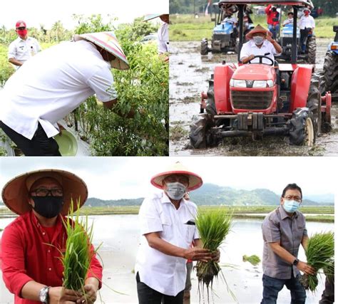 Melansir data bps peran sektor pertanian terhadap total pdb mencapai 14 persen dan menyediakan lapangan kerja bagi hampir separuh total penduduk. Jaga Ketahanan Pangan, Olly Genjot Sektor Pertanian ...