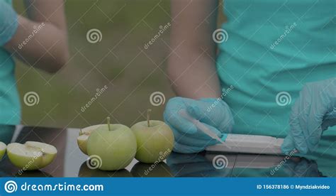 Biologists Or Agronomists Makes A Measure The Acidity Of Apples By A