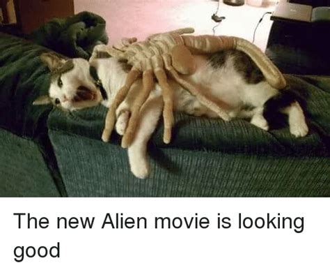 I have this list ranked in scare or fear factor, rather than what's best. The New Alien Movie Is Looking Good | Movies Meme on SIZZLE