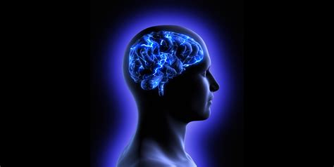 Brainstretched Quantum Neuroscience
