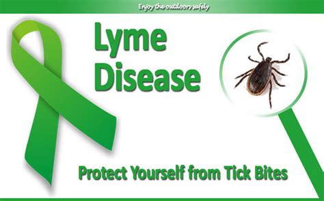 Tips For Preventing Lyme Disease Community Health