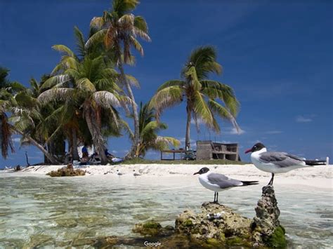 Discover The Marvels Of Belize Barrier Reef The Second Largest In The