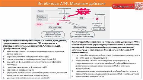 Хобл лечение и диета ХСН. Диагностика (ОССН–РКО–РНМОТ 2016) ХСН. Диагностика (ОССН–РКО–РНМОТ 2016) Хобл лечение и диета