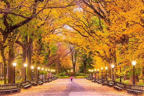 Where To See Fall Foliage In Nyc Park In New York Central Park New