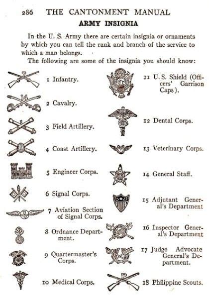 Usarmy Rank And Insignia Identification Ww1 Old Picture Colorizing