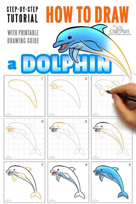 Drawing A Dolphin Step By Step Tutorial Craft Mart