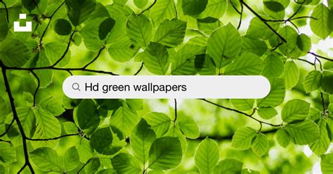 Top 54 Imagen Green Background Hd Wallpaper Ecovermx