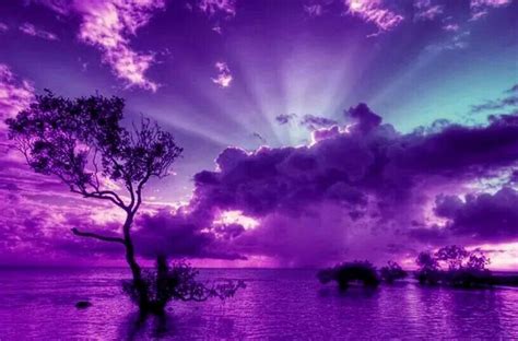 Beautiful Beautiful Nature Purple Sky Scenery