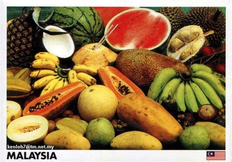 An opinion piece published by the star in 2015 explained that contrary to popular belief, the national fruit is indeed the papaya. About me...: Local fruits