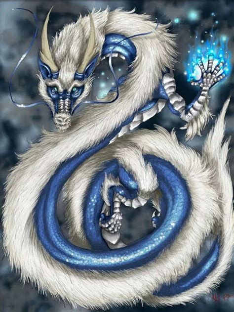Dragon Blue Dragon Dragon Art Dragons Oriental Fairy Dragon