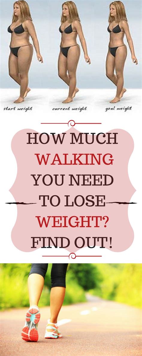 For dog owners who have active lifestyles, it's easy to overestimate the impact of physical activity on weight maintenance. Walking is a standout amongst the most secure sorts of ...