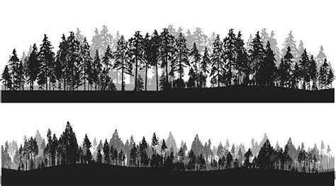 Treeline Silhouette Illustraties En Vectorbeelden Treeline Silhouette