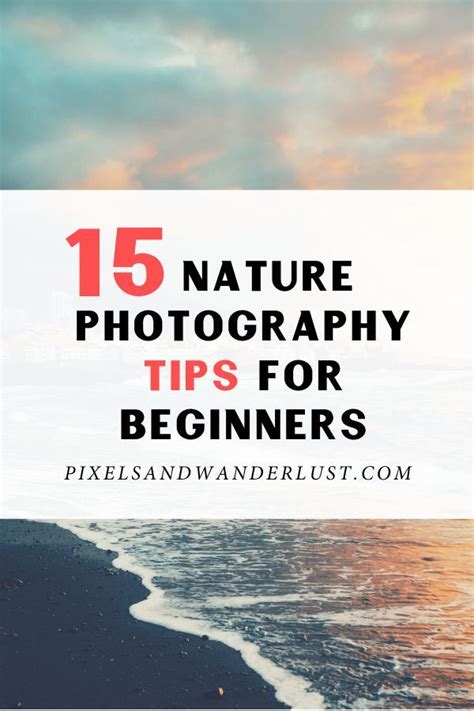 Nature Photography Tips Artofit