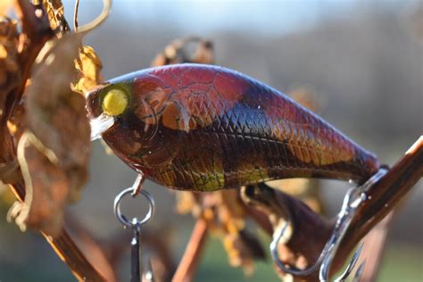 Howell Custom Lures Raging Craw Custom Painted Fishing Lure Etsy