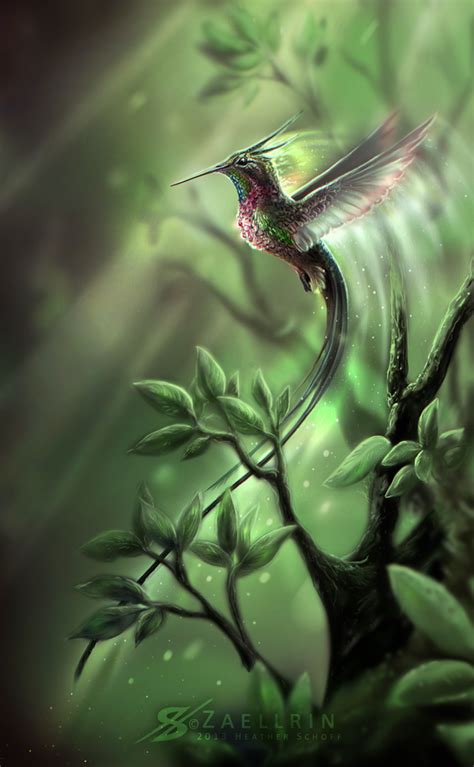 Hummingbird Fairy Hummingbird Art Hummingbird Fantasy Creatures