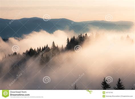 Foggy Mountain Morning Stock Image Image Of Forest Woodland 43172743