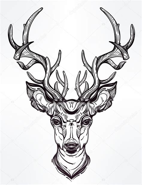 Cerf dessin dessin idées de tatouages illustrations tatouage minimaliste anatomie animale cerf tatouage clip art tatouage de glyphe. Tête de cerf dans le style de ligne art — Image vectorielle Katja87 © #95869986