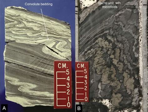 What Is Convolute Bedding In Geology Bedding Design Ideas
