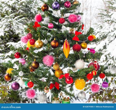 Outdoor Snow Covered Christmas Tree Stock Image Image Of Outdoors