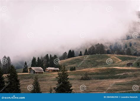 Autumn Meadow In Front Of A Barn In The Italian Alps Covered In Dense