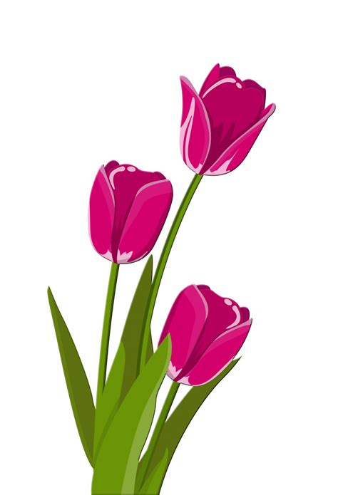 Clipart Tulips 10 Free Cliparts Download Images On Clipground 2024