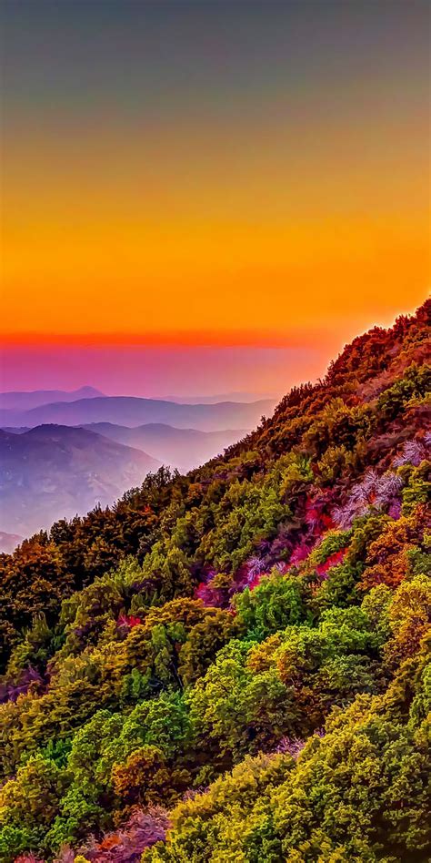 Mountain Colorful Forest Nature Sunset Scenery Colorful