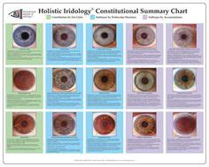 Mapas Iridologia Ideas Iridology Iridology Chart Emotion Chart