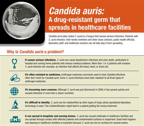 Candida Auris Case Tally Nears 100 In The Us Outbreak News Today
