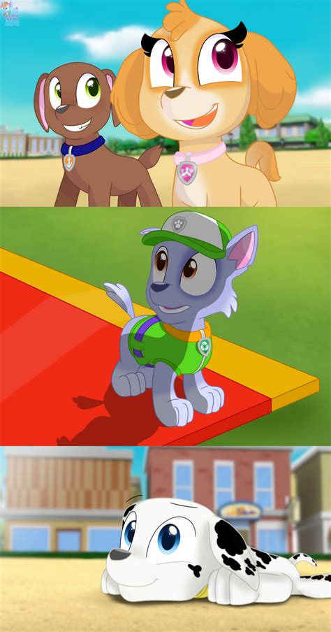 Paw Patrol Collage 6 Sorry If It Looks Different By Rainboweevee Da On