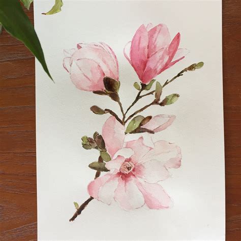 Aprende técnicas de dibujo con acuarelas para principiantes✓. Dibujos De Flores Para Pintar Con Acuarelas