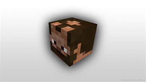 Minecraft Block Head My Skin Desktop Wallpaper By Fpsxgames On Deviantart