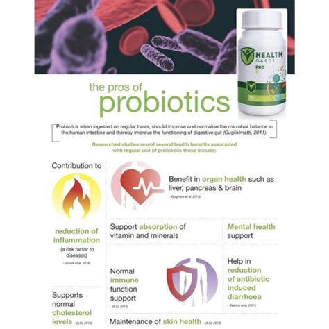 Healthgarde Probiotics Pro B For Men And Women Jumia Nigeria