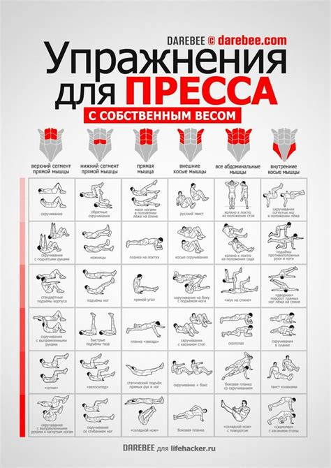 An Exercise Poster With Instructions For The Different Exercises In