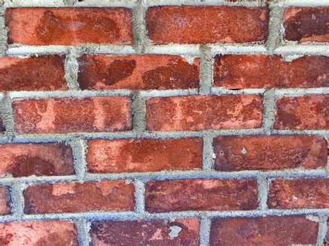 Wall Bricks Brick Free Photo On Pixabay Pixabay