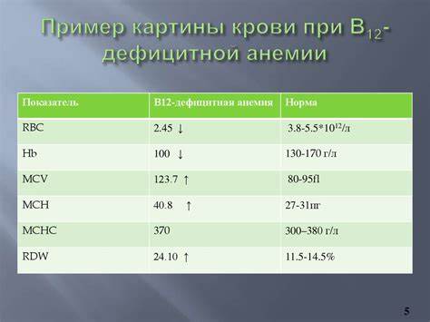 Изменения гемограммы при В12-дефицитной анемии - презентация онлайн Картинка - Изменения гемограммы при В12-дефицитной анемии - презентация онлайн