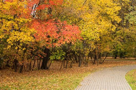 Beautiful Autumn Landscape Park With Colorful Trees And Empty Winding